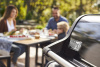 Газовый гриль Weber Spirit E-315 GBS